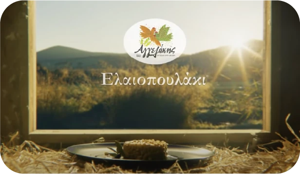 elaiopoulaki video