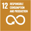 sustainability goal 12