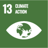 sustainability goal 13
