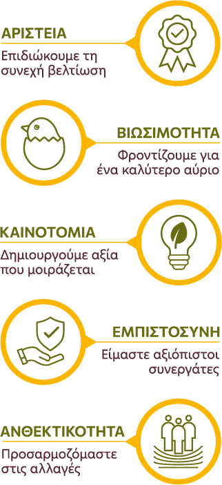 Αριστεία: Επιδιώκουμε τη συνεχή βελτίωση Βιωσιμότητα: Φροντίζουμε για ένα καλύτερο αύριο Ανθεκτικότητα: Προσαρμοζόμαστε στις αλλαγές Καινοτομία: Δημιουργούμε αξία που μοιράζεται Εμπιστοσύνη: Είμαστε αξιόπιστοι συνεργάτες