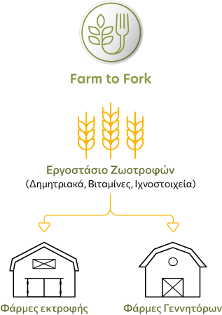 Farm to Fork: Εργοστάσιο Ζωοτροφών - Φάρμες εκτροφής - Φάρμες Γεννητόρων