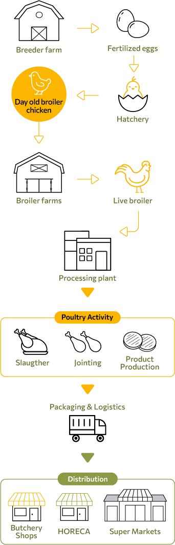 activities