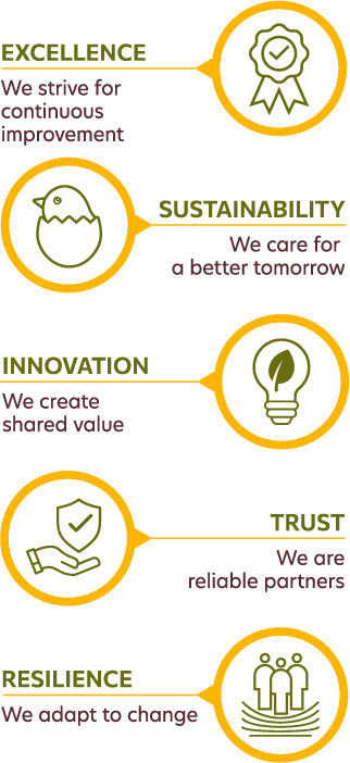 EXCELLENCE – We strive for continuous improvement RESILIENCE – We adapt to change TRUST – We are reliable partners INNOVATION – We create shared value SUSTAINABILITY – We care for a better tomorrow