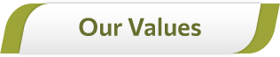 Our values