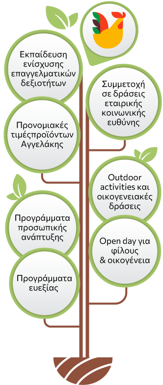 Εκπαίδευση ενίσχυσης επαγγελματικών δεξιοτήτων Συμμετοχή σε δράσεις εταιρικής κοινωνικής ευθύνης Προνομιακές τιμές προϊόντων Αγγελάκης Outdoor activities και οικογενειακές δράσεις Προγράμματα προσωπικής ανάπτυξης Οpen day για φίλους & οικογένεια Προγράμματα ευεξίας