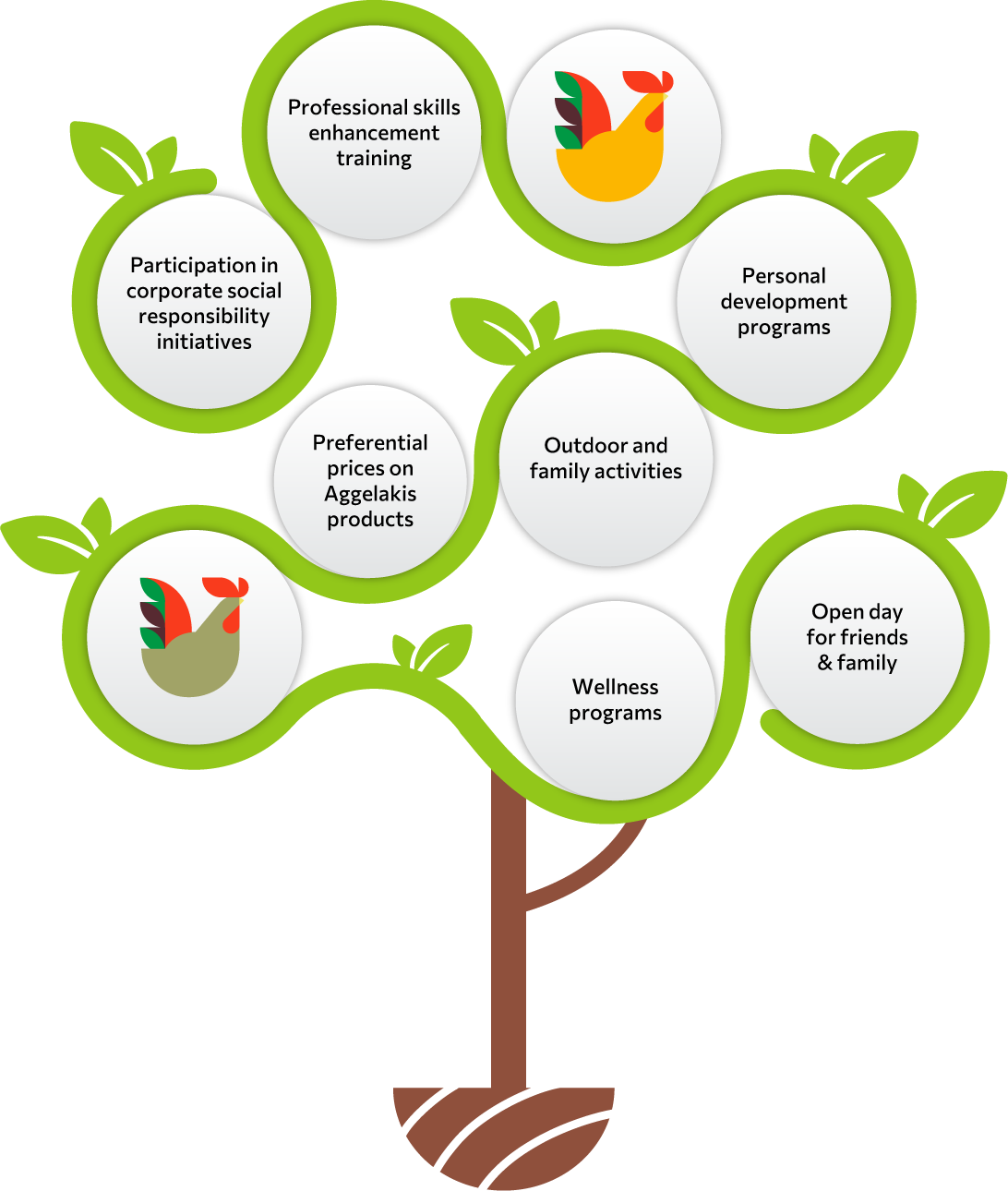 Professional skills enhancement training Personal development programs Open day for friends & family Wellness programs Preferential prices on Aggelakis products Outdoor and family activities Participation in corporate social responsibility initiatives