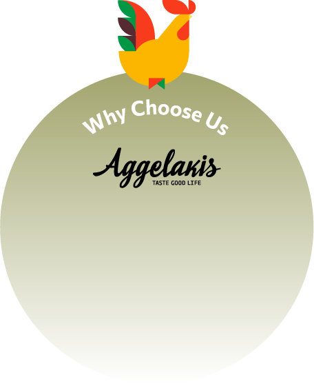 Why Choose Us